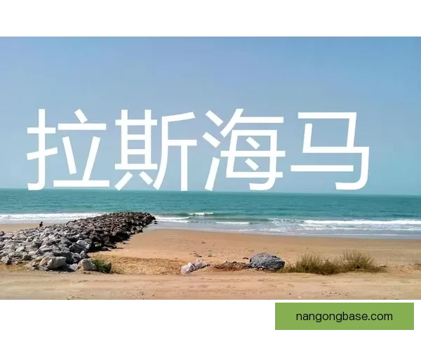 拉斯海马高清地图全景展示与地理特征详解指南 拉斯海马高清地图全景展示与地理特征详解指南